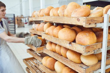 Fırıncı eller fırında taze ekmek koydu.