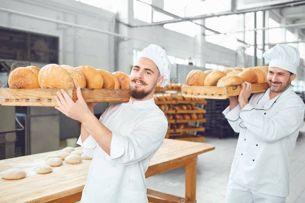 Two bakers men carry trays with bread at the bakery.