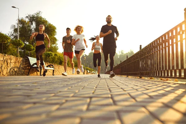 A group of happy friends running in the park in the morning at dawn. — Stock Photo, Image