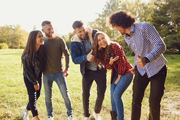 Grupo de amigos felices están caminando en el parque . — Foto de Stock