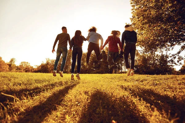 Een groep jonge mensen springen op het gras in het park bij zonsondergang. — Stockfoto