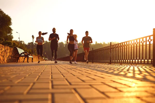 Group of runners in the park in the morning. — Stock Photo, Image