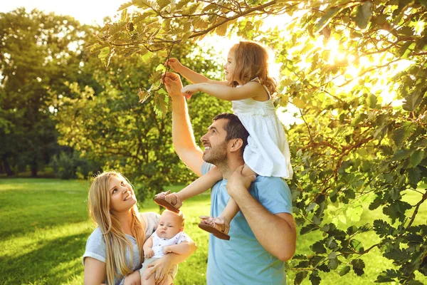 Щаслива молода сім'я з дітьми в парку — стокове фото