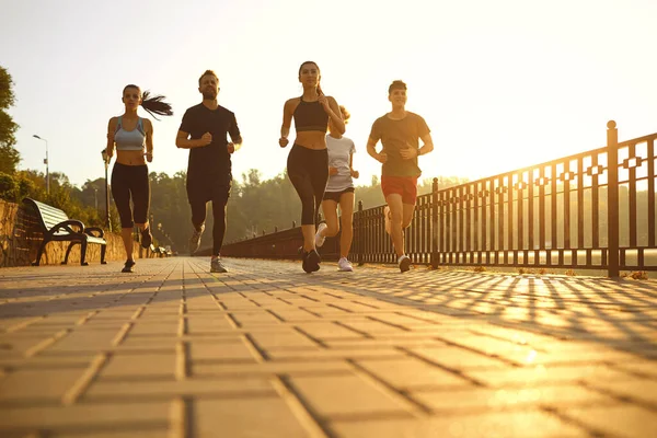Group of runners in the park in the morning. — Stock Photo, Image