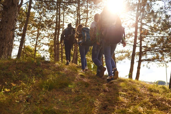 Jovens com mochilas caminhando na floresta — Fotografia de Stock