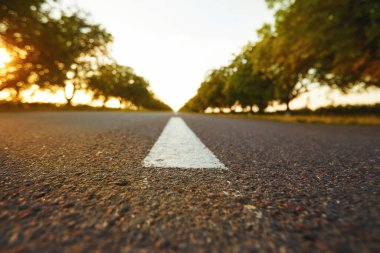 Gün batımında ağaçların olduğu boş asfalt yol