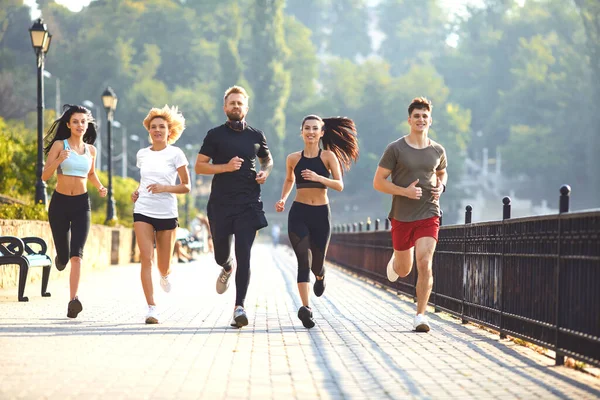 Group of runners in the park in the morning. — Stock Fotó