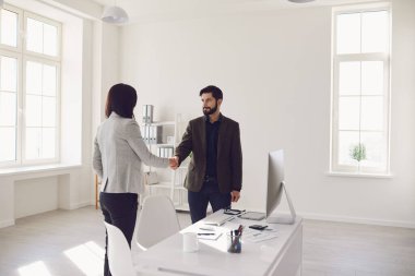 Smiling formal man and woman meeting in office