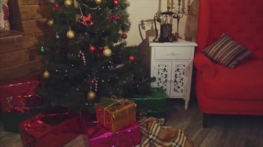 Görünüm Noel Oda çam ağacı ile dekore edilmiş ve altında sunar