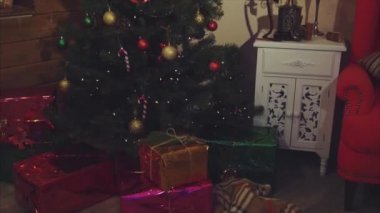 Noel ağacı, hediyeler ve süs eşyaları çekim