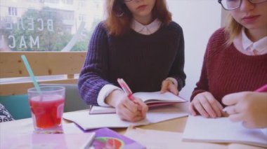 Bayan üniversite öğrencileri kafede okuyor. İki kız arkadaş birlikte öğreniyor.