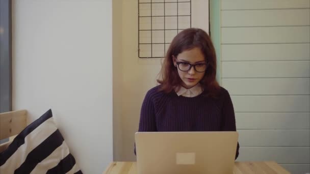 Young woman working on laptop in cafe — Stock Video