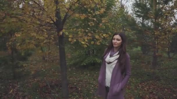 Junge hübsche Frau spaziert im herbstlichen Wald — Stockvideo