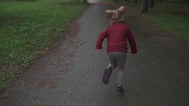 Klein meisje in de herfst park uitgevoerd. Concept van gelukkige jeugd. — Stockvideo