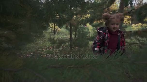 Niña caminando en el bosque y mirando la rama de pino — Vídeo de stock