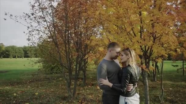 Junges Paar bei einem Date im Herbstpark — Stockvideo