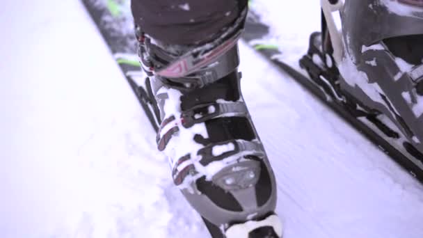 Close-up shot van mannelijke poten met nieuwe alpine ski-uitrusting. — Stockvideo