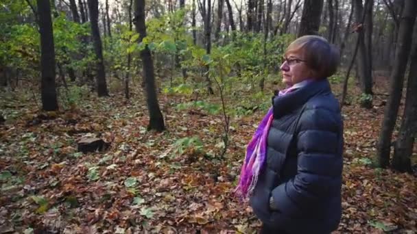 Mujer mayor camina en el bosque de otoño en un buen día . — Vídeos de Stock