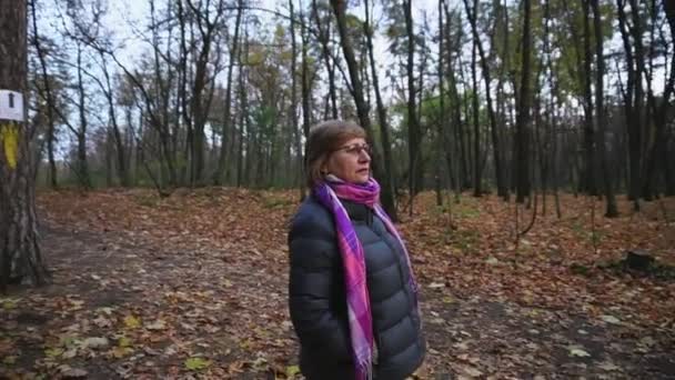 Kobieta Senior spacery w lesie jesienią, patrząc na szczytach drzew. — Wideo stockowe