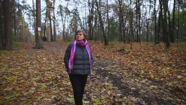 Mujer mayor camina en el bosque de otoño, mirando las copas de los árboles . — Vídeos de Stock