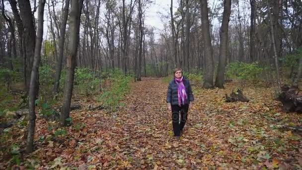 Sonbahar ormanda yürüyüş kadın kıdemli ücretsiz zamanını geçiriyor. — Stok video