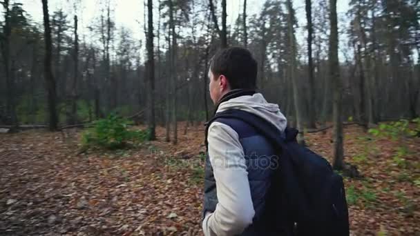 Homem adulto caminha ao longo da floresta outonal para obter novas impressões da natureza . — Vídeo de Stock