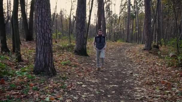 Hombre caminando en el parque de otoño, respirando aire, escuchando a los pájaros cantar . — Vídeos de Stock