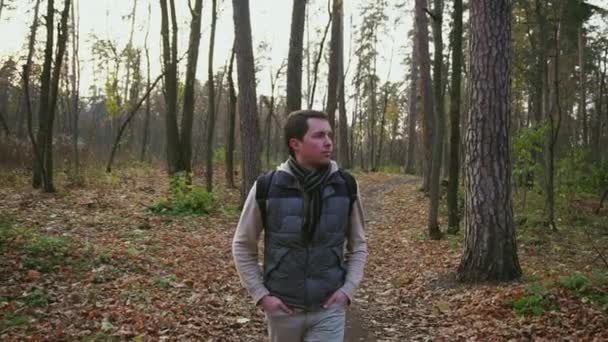 Homme adulte aux cheveux noirs avec sac à dos marchant dans la forêt d'automne . — Video