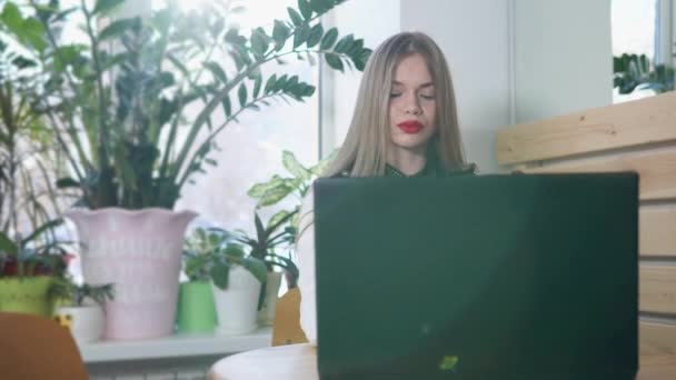 Eine junge ernsthafte Dame tippt im Café auf einem Laptop. — Stockvideo