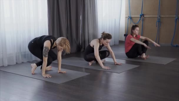 Kvinnorna gör ett morgon komplex av asanas, hjälper till att vakna och sträcka sin kropp — Stockvideo