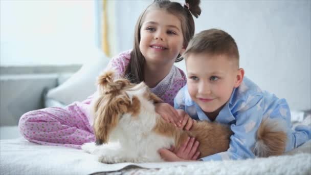 Irmãozinho e irmã vestidos com pijama caseiro acariciando um cachorrinho . — Vídeo de Stock