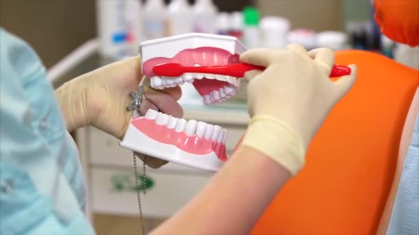 Médico dentista mostra como escovar corretamente os dentes com uma escova de dentes — Vídeo de Stock