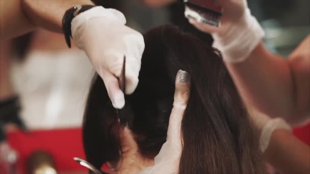 Vista da vicino della tintura dei capelli. Processo di tintura nel salone di bellezza . — Video Stock