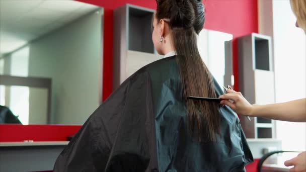 Femme coiffeur peigner les cheveux des femmes client . — Video