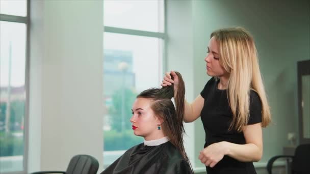 Parrucchiere donna che separa i capelli. Fare la ciocca di capelli — Video Stock