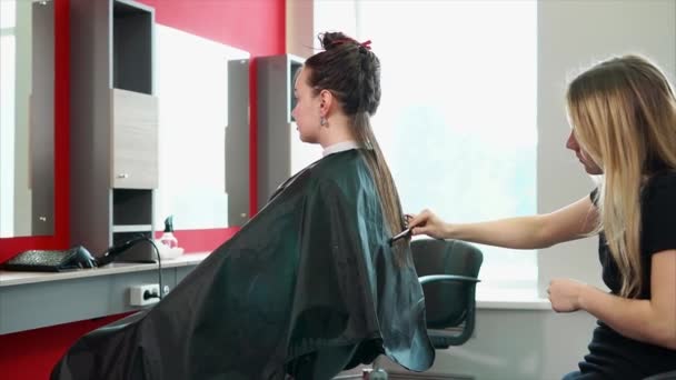 Making stylish hairstyle in fashionable beauty salon. Female customer — Stock Video