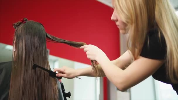 Mulher cabeleireiro pentear o cabelo do cliente e picá-lo . — Vídeo de Stock