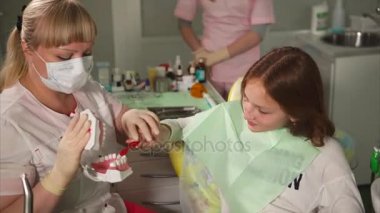 Doktor diş hekimi genç manken örnek üzerinde dişlerini fırçalamayı öğretir