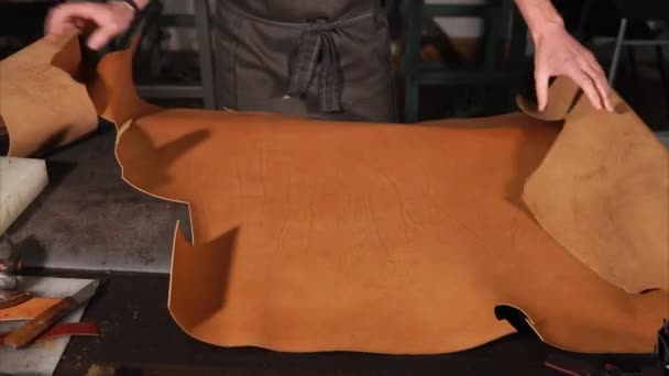 Ремесленник готовит кожаный лист, чтобы начать свою работу — стоковое видео