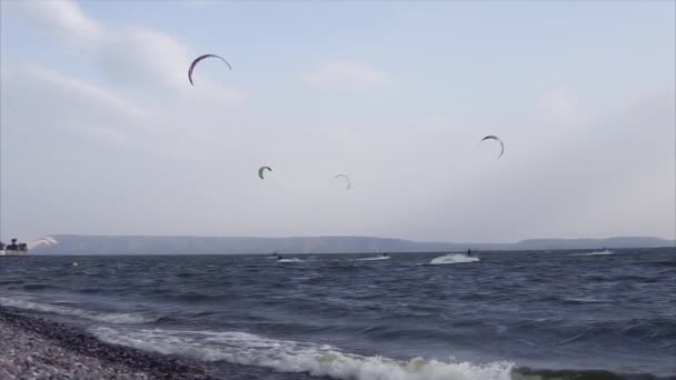 Kitesurfers jezdit na moře s plachtami na obloze, které se pohybují za větrem — Stock video