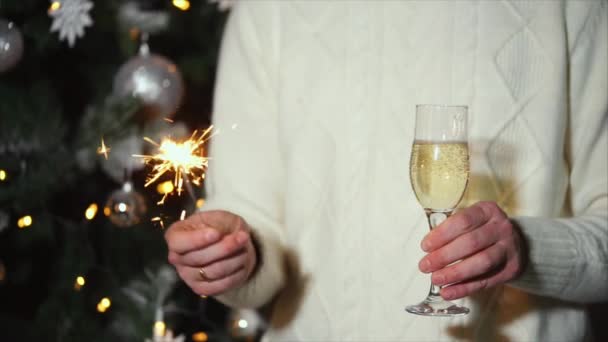 Man houdt sparkler en glas champagne in de partij van de nieuwe jaarviering — Stockvideo