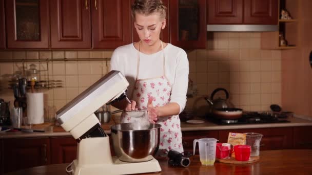 Pişirme sürecinde malzemeler ekleme — Stok video