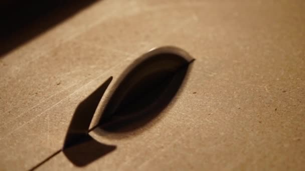 Man snijdt houten bord met een cirkelzaag — Stockvideo