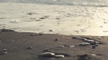 deniz köpüğü tarafından gündüz yıkanır taşlar vuruşta kapatın