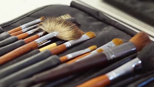 Professional makeup brushes are lying in a case on a table, camera moves — Stock Video