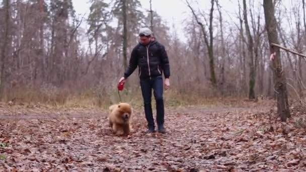 Mladý muž chodí v podzimním parku s veselým psem na vodítku — Stock video