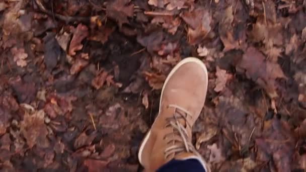 Voeten van man loopt over natte gevallen bladeren in bewolkte herfstdag, bovenaanzicht — Stockvideo