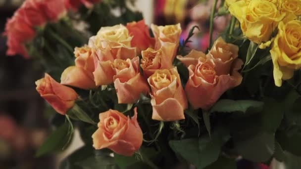 De belles roses dans une boutique de fleurs — Video