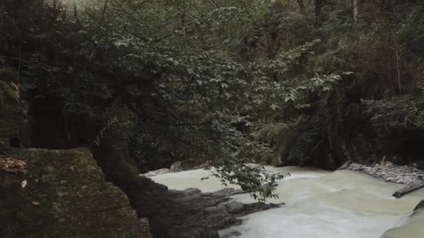 Красивый пейзаж осенью или весной, вода падает с водопада — стоковое видео