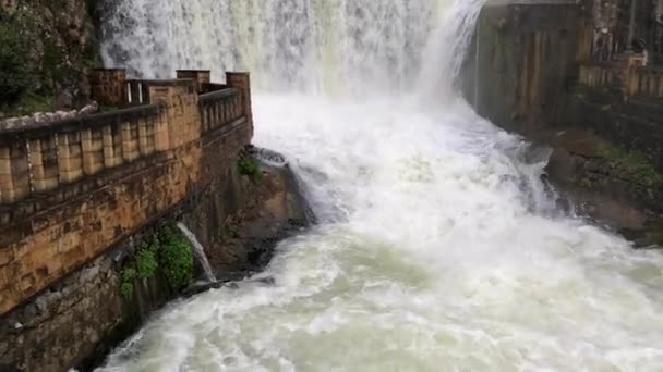 Voda rychle klesá po proudu na vrcholu je vodopád a kvetoucí vegetace — Stock video